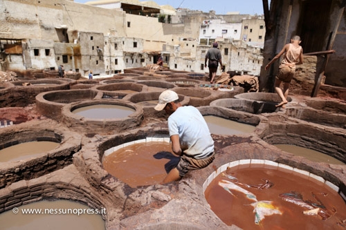 Concerie di Fes - Marocco<